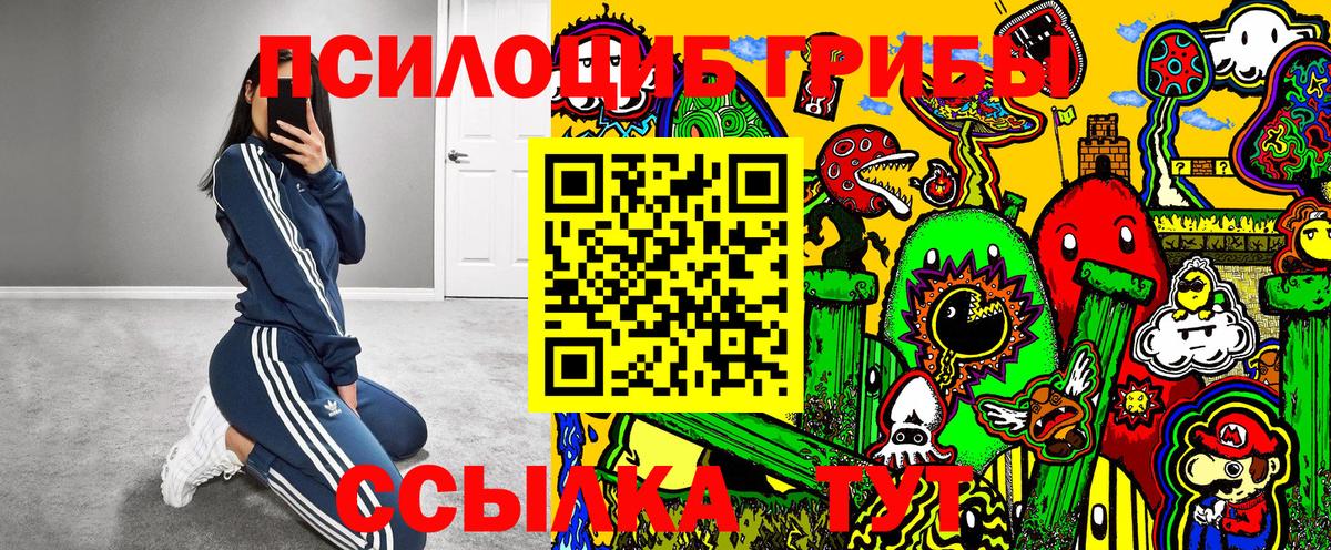Галлюциногенные грибы ЛСД Дятьково